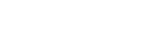FLZ Holding